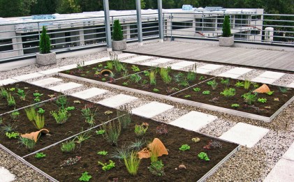 sachsenband_gl2014_04