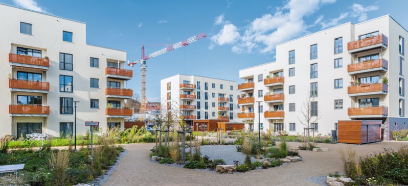 Kalksandstein_2019_b05