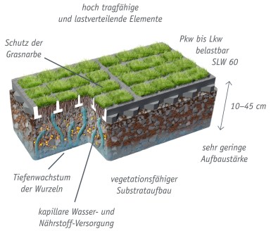 huebner_lee_bc2020_b3