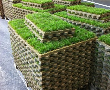 huebner_lee_bc2020_b5